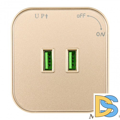 Трековая розетка Arte Milano Am-track-sockets 380022TS/USBx2 Gold