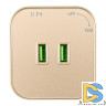 Трековая розетка Arte Milano Am-track-sockets 380022TS/USBx2 Gold
