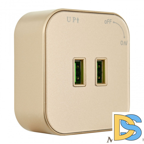 Трековая розетка Arte Milano Am-track-sockets 380022TS/USBx2 Gold