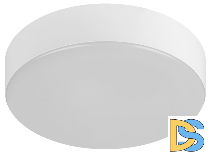 Потолочный светильник Эра Relict 22 SPB-6-20 4К WH Б0059507