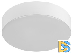 Потолочный светильник Эра Relict 22 SPB-6-20 4К WH Б0059507