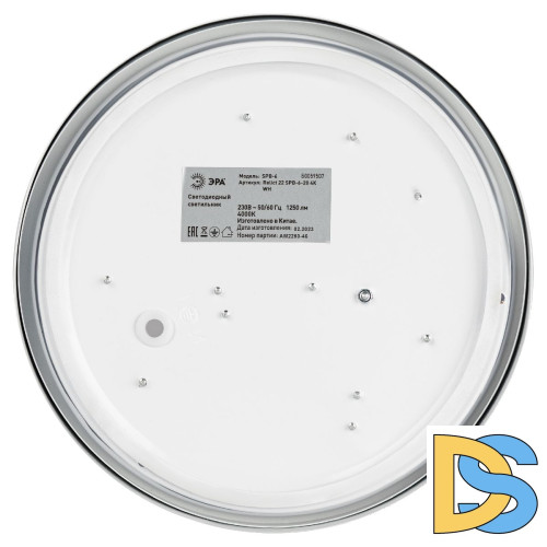 Потолочный светильник Эра Relict 22 SPB-6-20 4К WH Б0059507