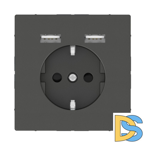 Розетка компьютерная USBx2 Schneider Electric Merten D-Life MTN2366-6034