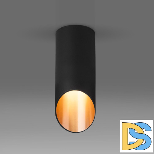 Потолочный светильник Elektrostandard DLN114 GU10 черный/золото 4690389151170