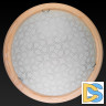 Настенно-потолочный светодиодный светильник Toplight Christina TL9520Y-00PN