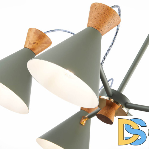 Потолочная люстра Evoluce Modica SLE125112-05