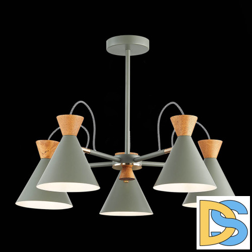 Потолочная люстра Evoluce Modica SLE125112-05