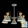 Потолочная люстра Evoluce Modica SLE125112-05