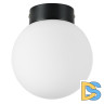 Потолочный светильник Lightstar Globo 812017