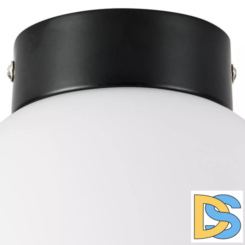 Потолочный светильник Lightstar Globo 812017