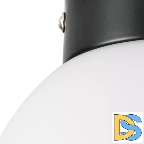 Потолочный светильник Lightstar Globo 812017
