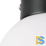 Потолочный светильник Lightstar Globo 812017