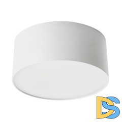 Потолочный светодиодный светильник Feron Simple matte AL200 48076