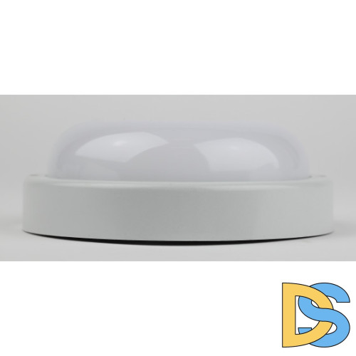 Настенно-потолочный светильник Эра SPB-201-0-40K-018 Б0054579