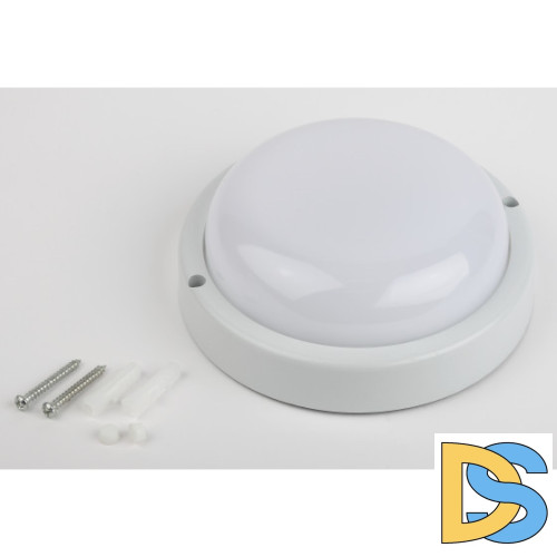 Настенно-потолочный светильник Эра SPB-201-0-40K-018 Б0054579