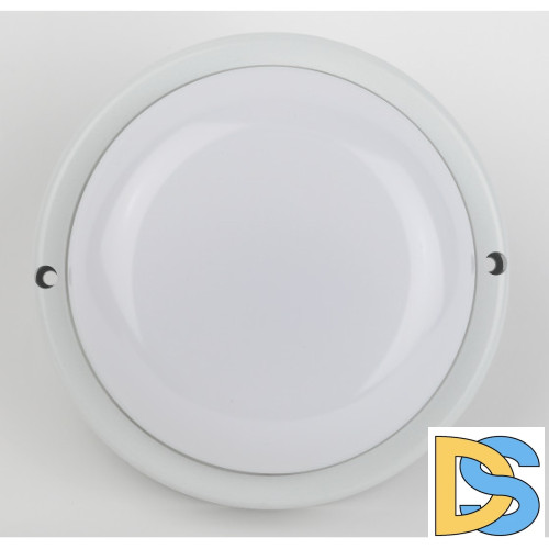 Настенно-потолочный светильник Эра SPB-201-0-40K-018 Б0054579