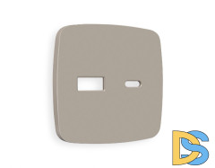 Лицевая панель для розетки 2USB A+C Ambrella Volt Omega OP3710