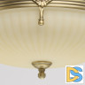 Потолочный светильник MW-Light Афродита 317011504