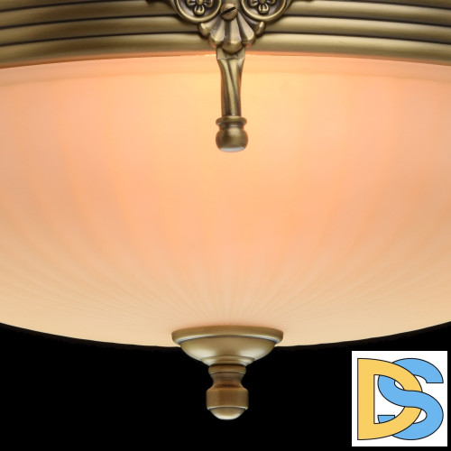 Потолочный светильник MW-Light Афродита 317011504