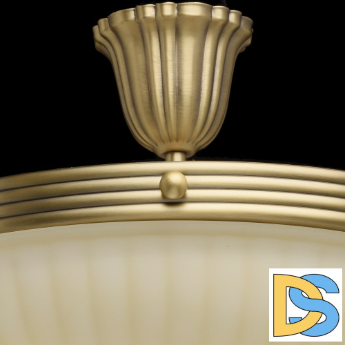 Потолочный светильник MW-Light Афродита 317011504