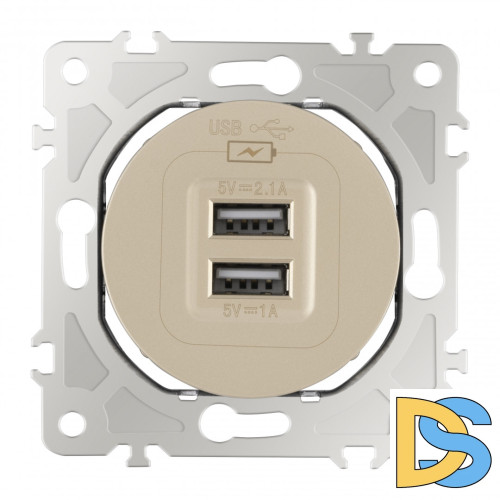 Розетка USB 2.1А+1А Arte Milano 202.46-1.shampan