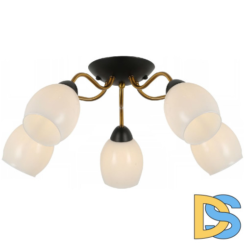 Потолочная люстра Illumico IL8193-5COU-79 BK GD