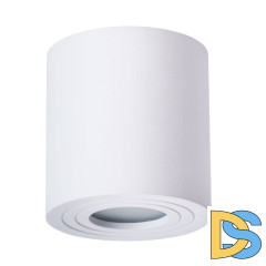 Накладной светильник ARTE Lamp A1460PL-1WH