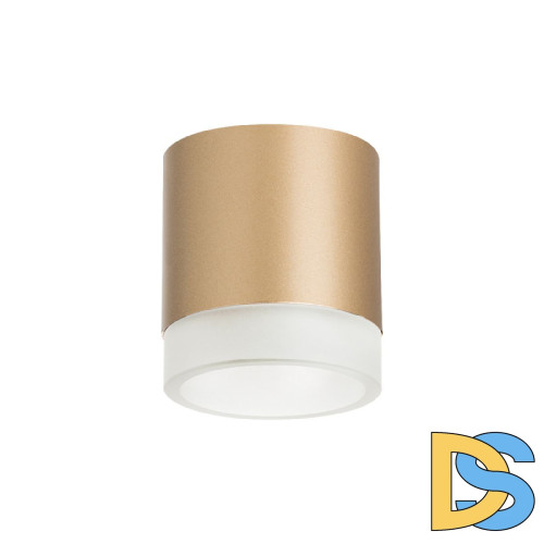 Накладной светильник Lightstar Rullo (213490+202480) R349080
