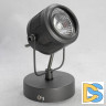 Спот Lussole Loft Haines GRLSP-8045