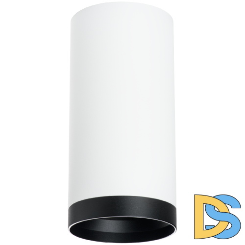 Накладной светильник Lightstar Rullo R64863487 (216486+203487)