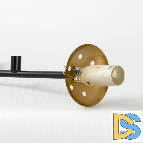 Подвесная люстра Lussole LSP-8889