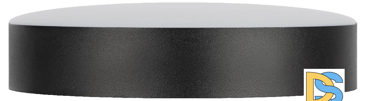 Потолочный светильник Эра Relict 22 SPB-6-20 4К BK Б0059508