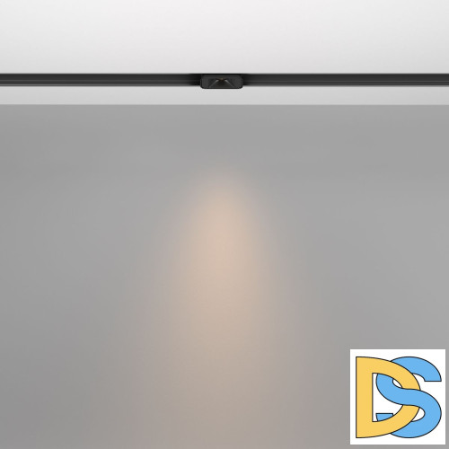 Трековый магнитный светильник Maytoni Points S TR100-2-2W3K-S-B