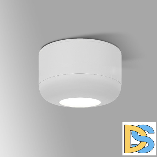 Накладной светильник Elektrostandard Onde 4690389198885 a064201