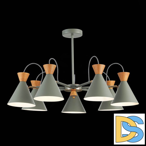 Потолочная люстра Evoluce Modica SLE125112-07