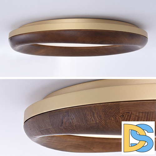 Потолочный светильник ImperiumLoft Runis 219475-26