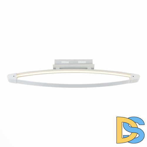 Потолочный светодиодный светильник ST Luce SL920.102.01