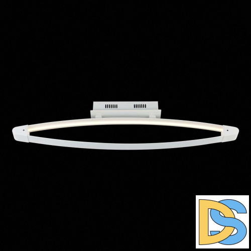 Потолочный светодиодный светильник ST Luce SL920.102.01