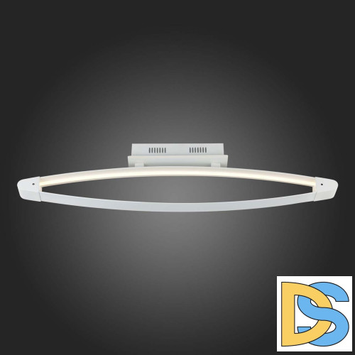 Потолочный светодиодный светильник ST Luce SL920.102.01
