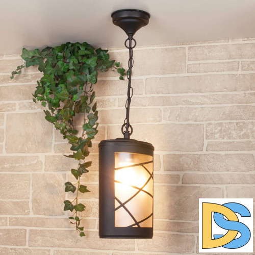 Уличный подвесной cветильник Elektrostandard Premier H GL 1017H 4690389115219