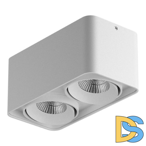 Потолочный светильник Lightstar Monocco 212526