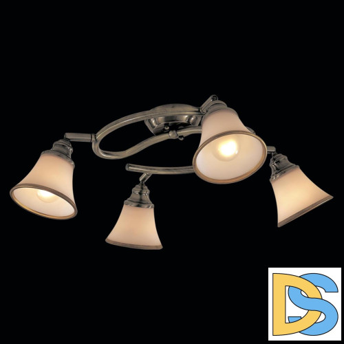 Спот Citilux Прованс CL511143