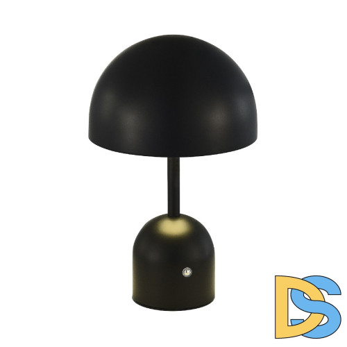 Настольная лампа Evoluce Eclat SLE1806-404-01