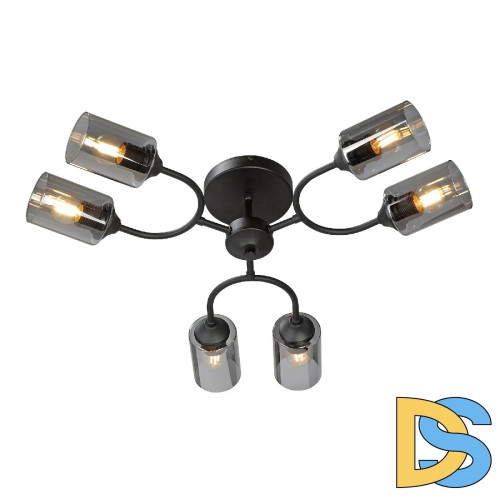 Потолочная люстра Vitaluce V2823-1/6PL