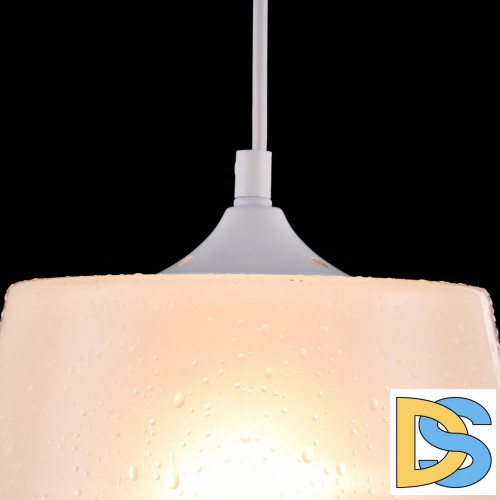 Подвесной светильник Maytoni Walter P528PL-01W