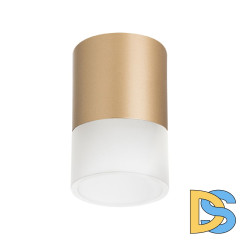 Накладной светильник Lightstar Rullo (213490+202481) R349081
