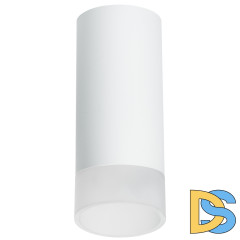 Накладной светильник Lightstar Rullo R648681 (216486+202481)