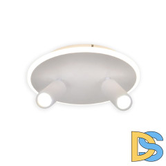 Настенно-потолочный светильник Escada 20046SMA/02LED WH