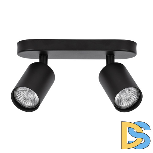 Спот Arte Lamp Aquarius A3226PL-2BK