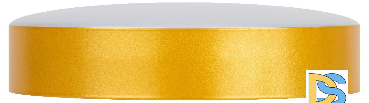 Потолочный светильник Эра Relict 22 SPB-6-20 4К MG Б0059509